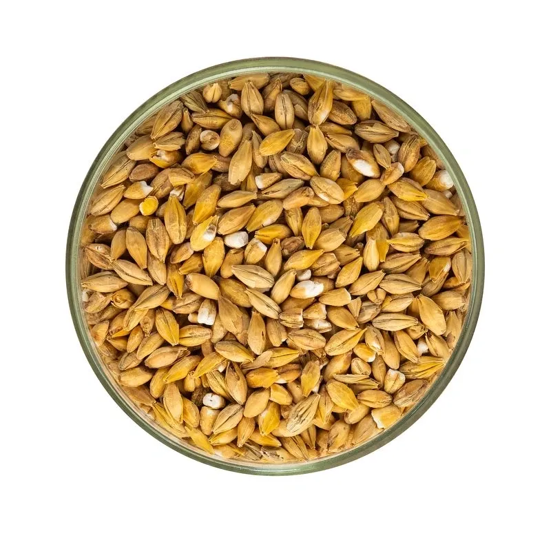 Acidulated Malt (Weyermann)