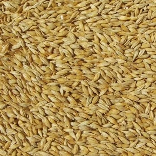 Pale Malt (Barrett Burston) 1kg