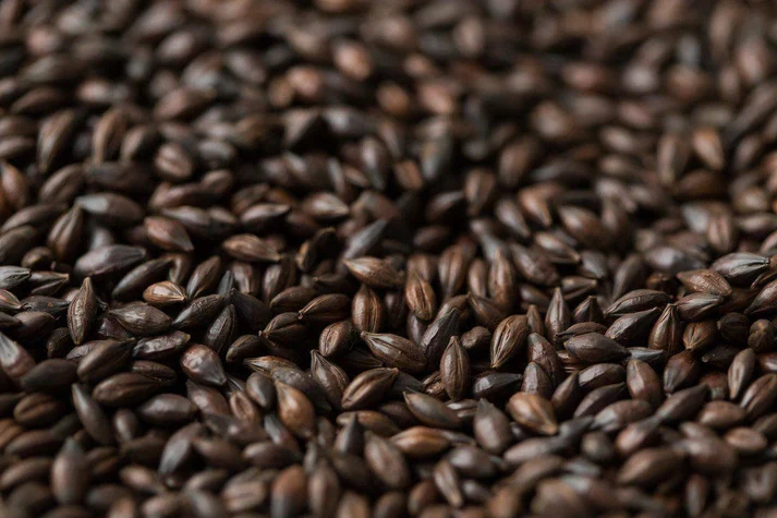 Dark Chocolate Malt