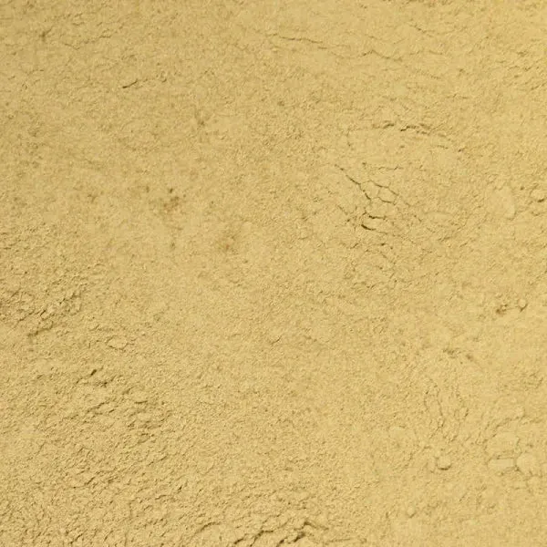Morgans Ginger Beer Yeast