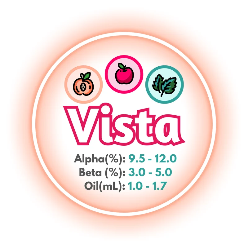 Vista BC T90 Pellets