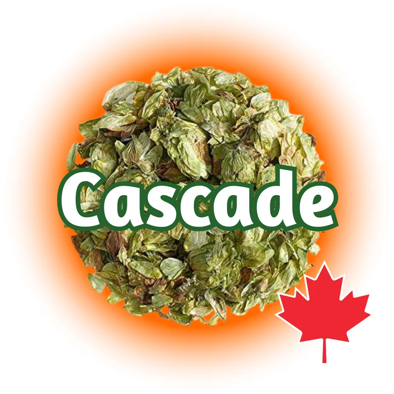 Cascade BC Whole Cone