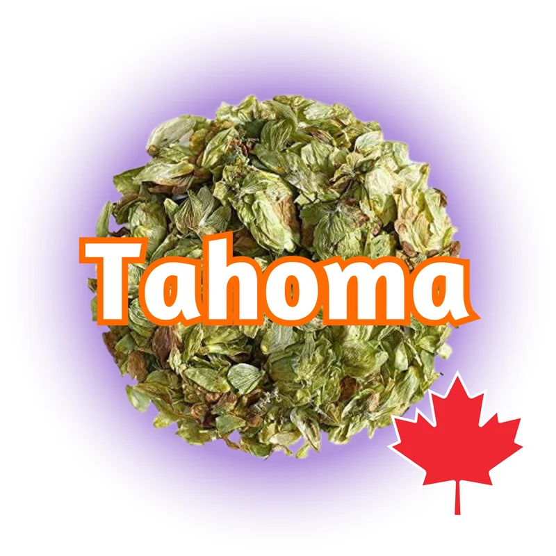 Tahoma BC Whole Cone