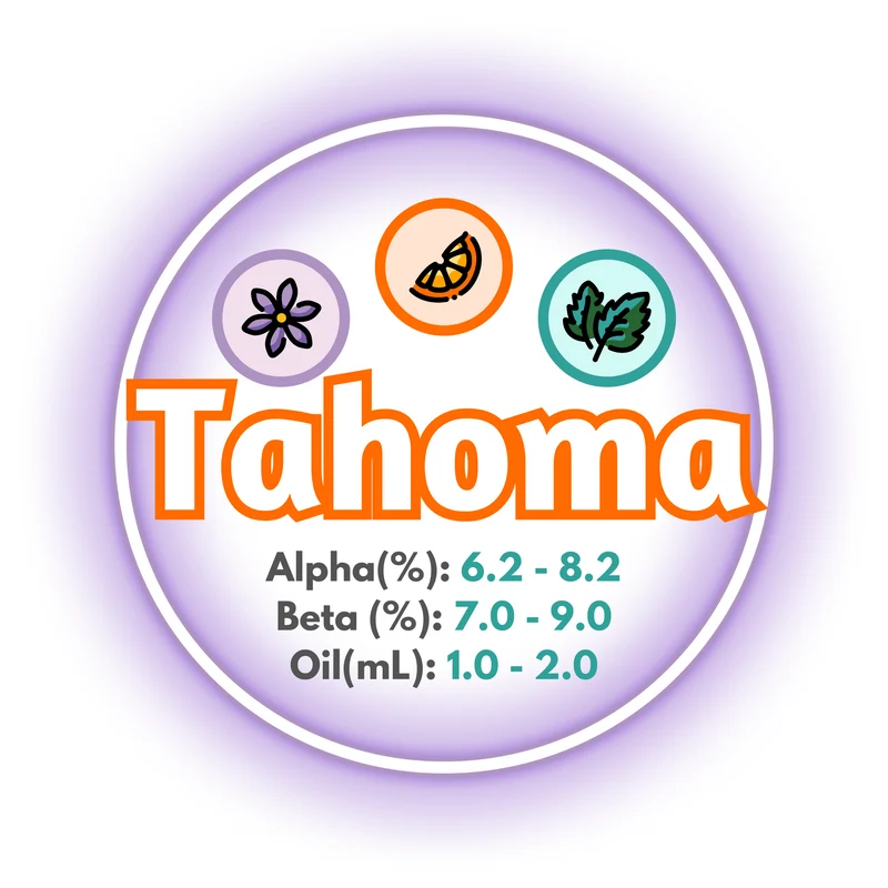 Tahoma BC Whole Cone