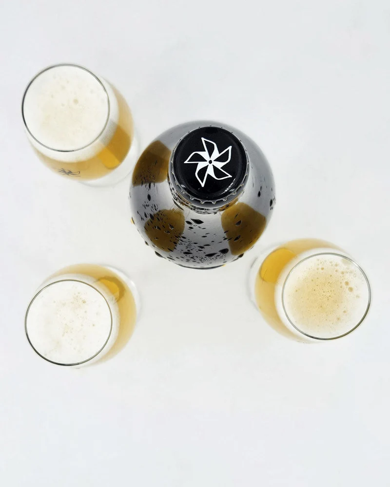 Bière Pale Ale Française (75 cl)
