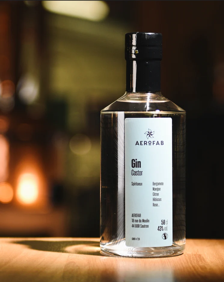 Gin Castor (50 cl)