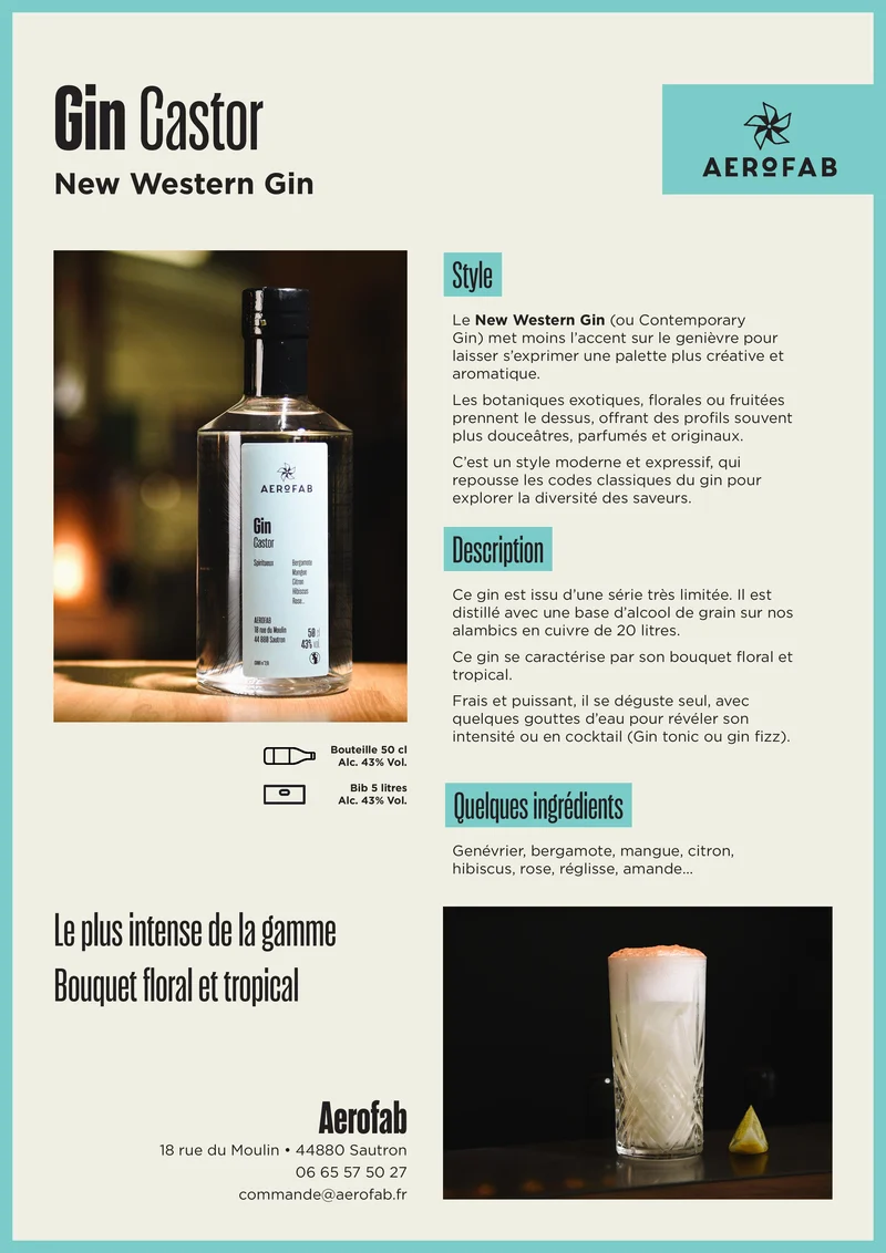 Gin Castor (50 cl)