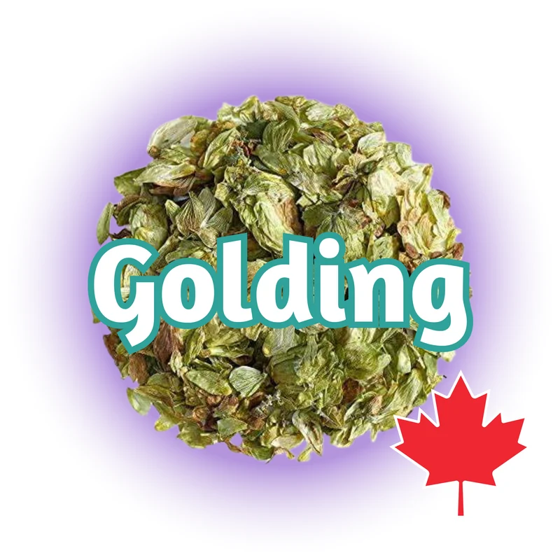 Golding BC Whole Cone
