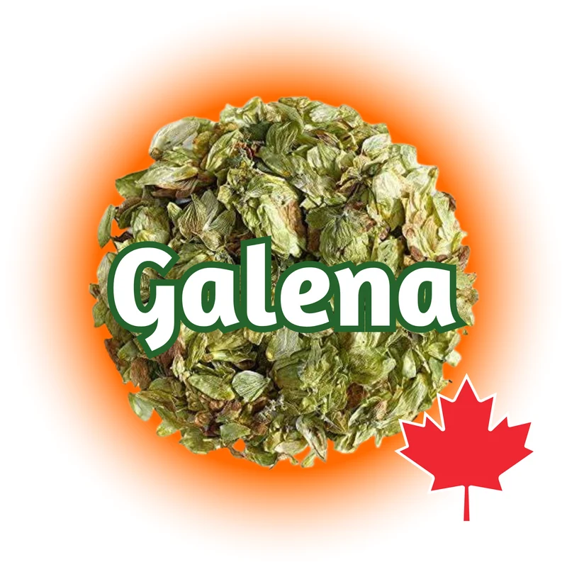 Galena BC Whole Cone