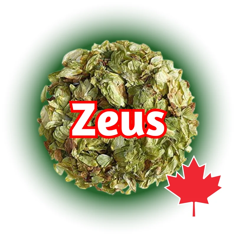 CTZ (Zeus) BC Whole Cone