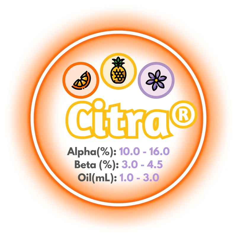 Citra® T90 Pellets
