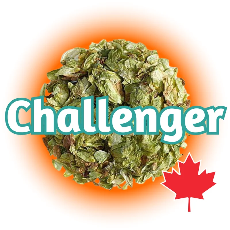 Challenger BC Whole Cone