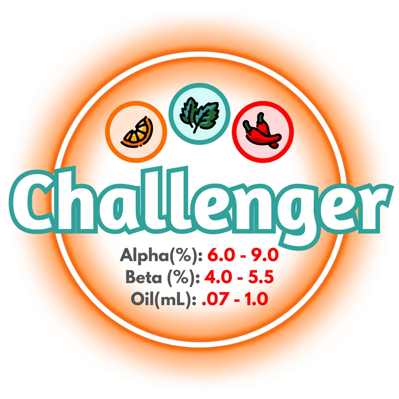 Challenger BC Whole Cone