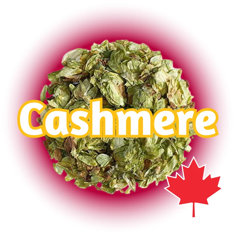 Cashmere BC Whole Cone