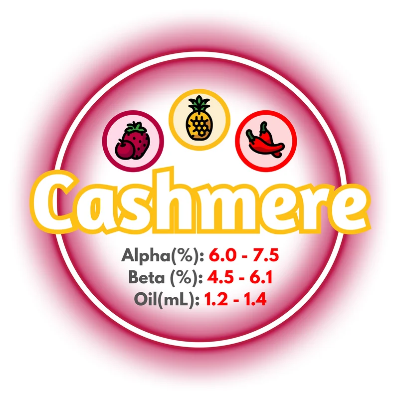 Cashmere BC Whole Cone
