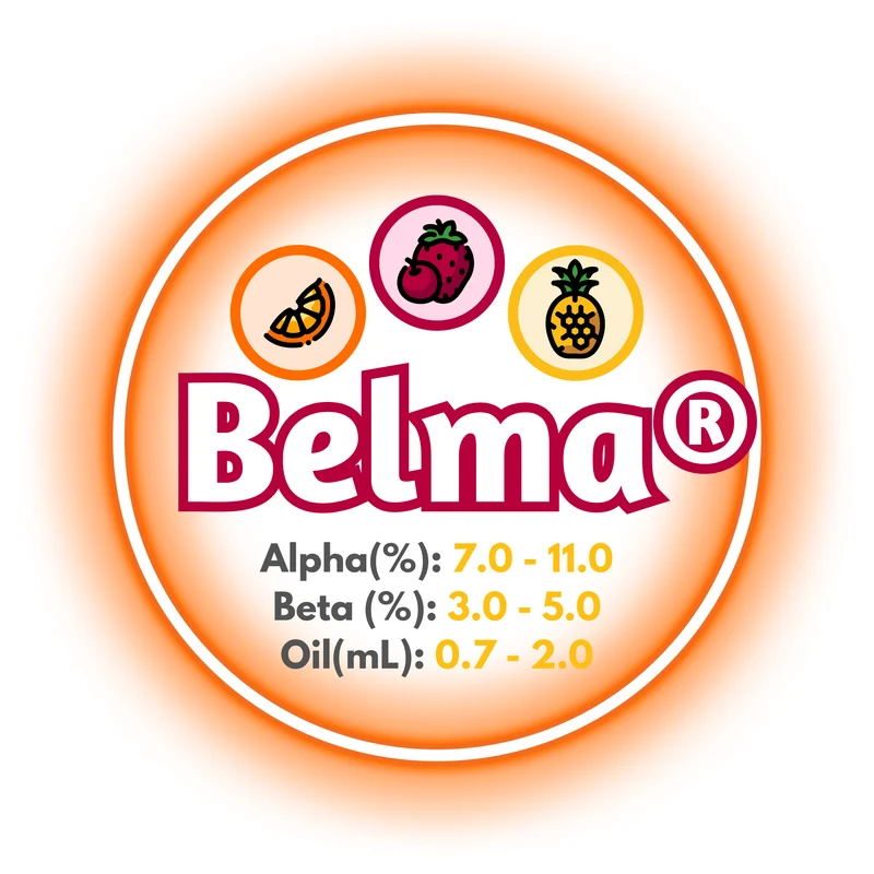 Belma® T90 Pellets