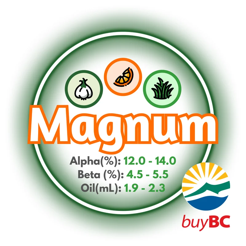 Magnum BC T90 Pellets