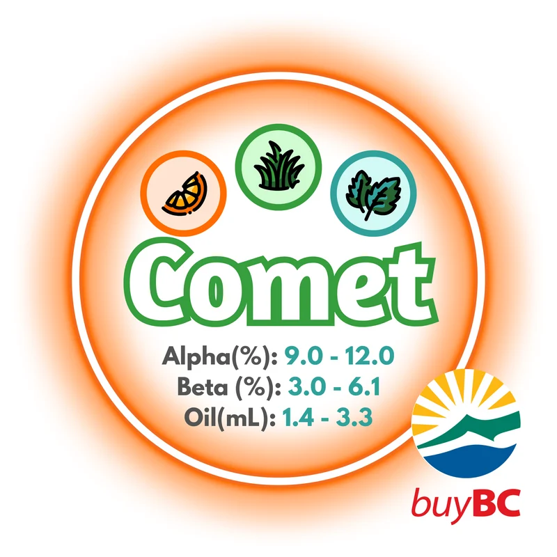 Comet BC T90 Pellets