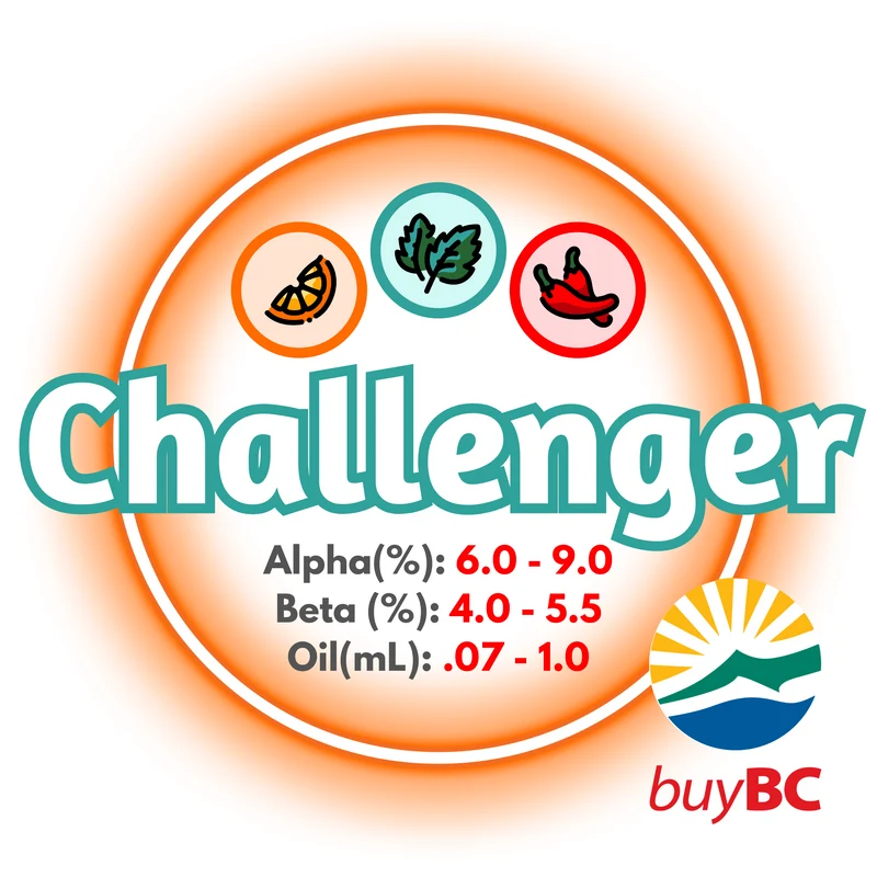 Challenger BC T90 Pellets