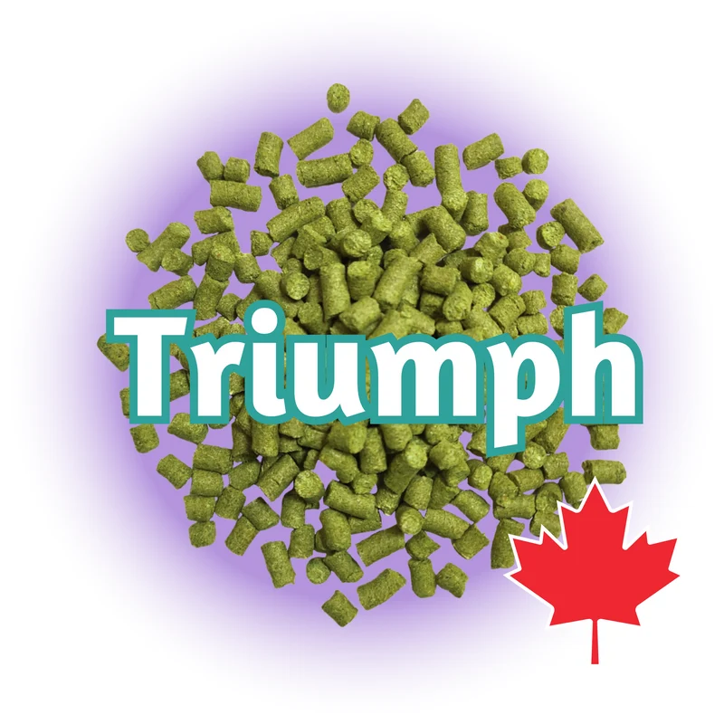 Triumph BC T90 Pellets
