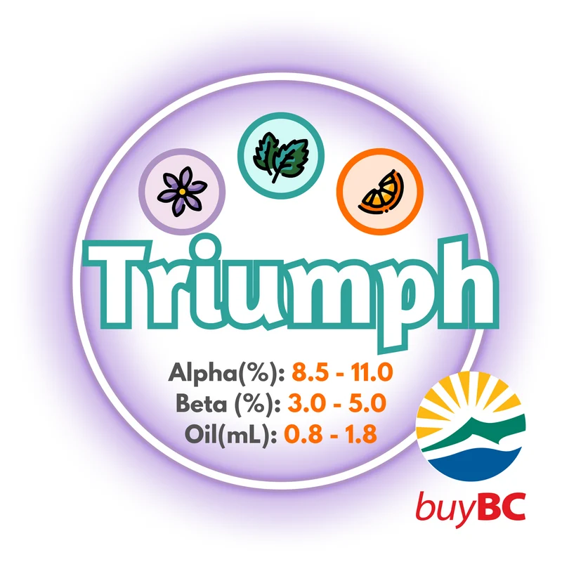 Triumph BC T90 Pellets