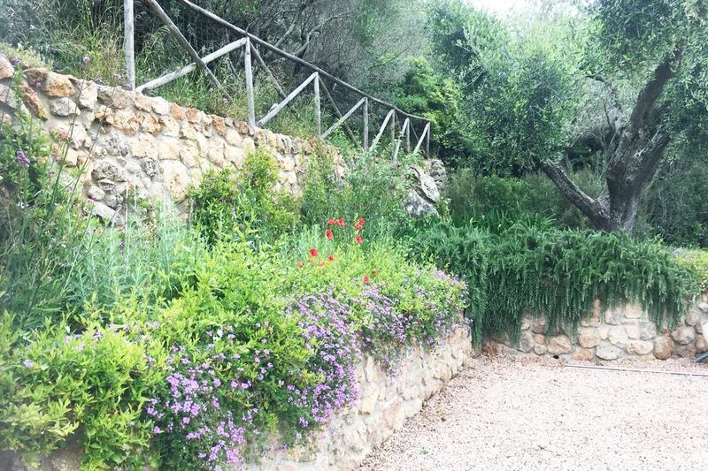 Bordure, siepi e aiuole
