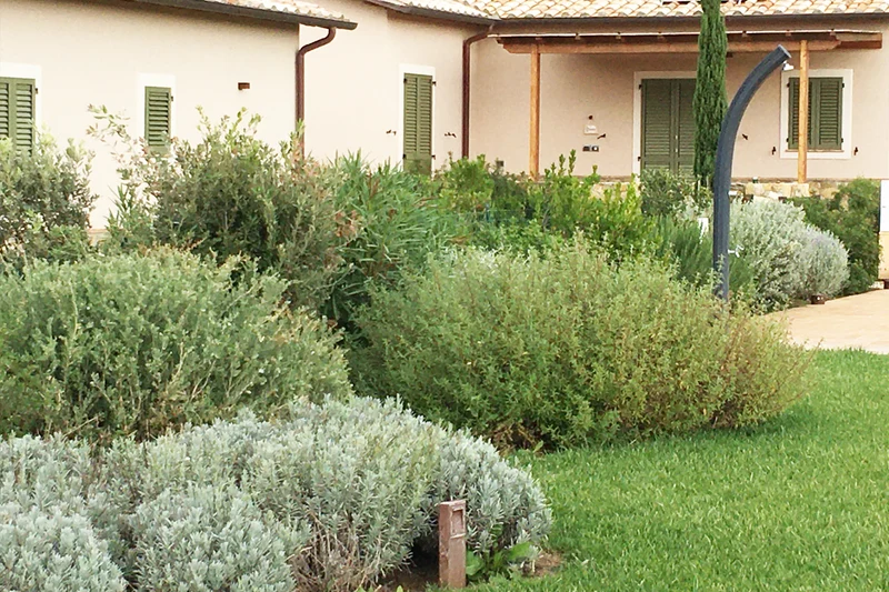 Bordure, siepi e aiuole