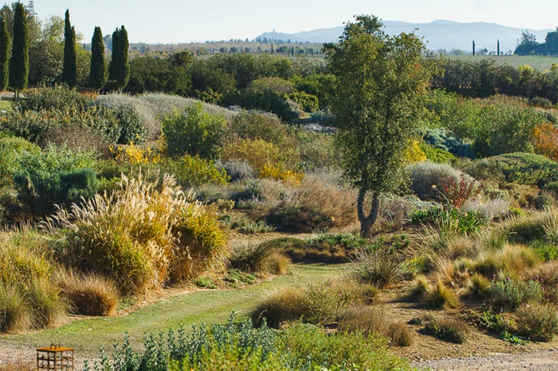 BotanicalDryGarden