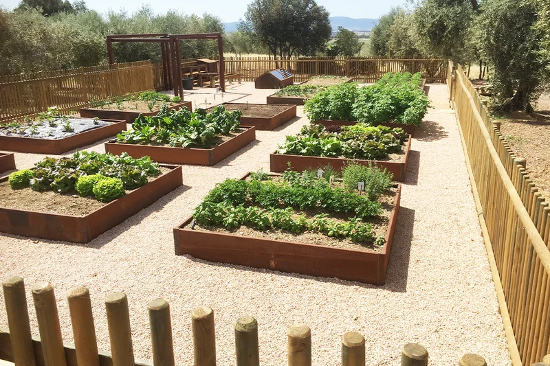 Orti