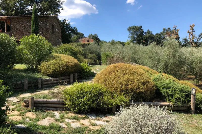 Terrazzamenti