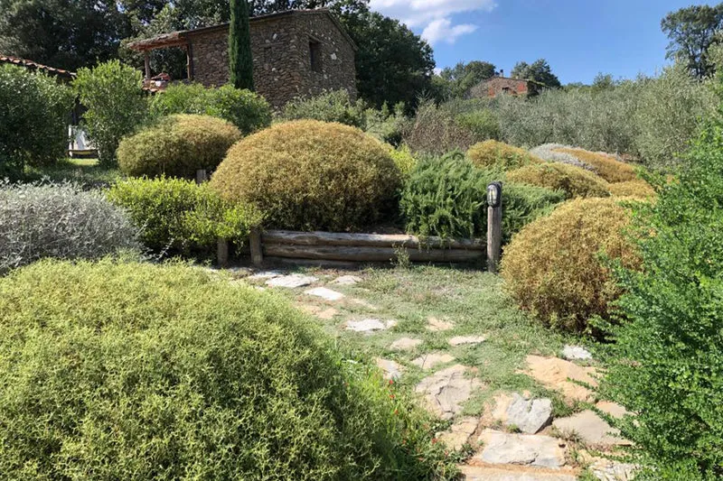 Terrazzamenti
