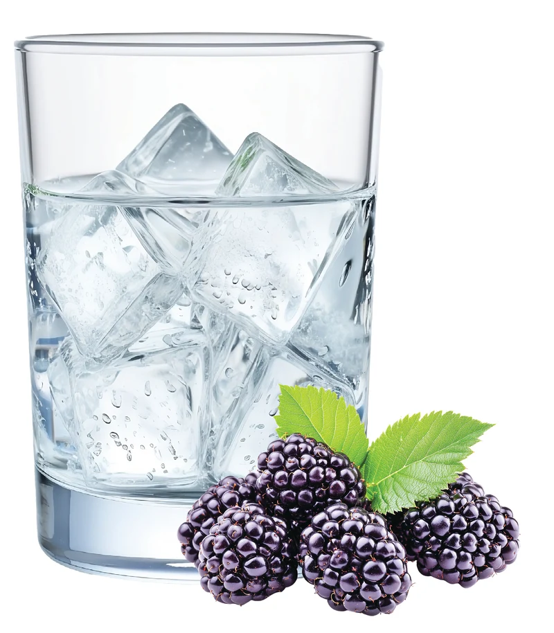 Blackberry Hard Seltzer Recipe Kit