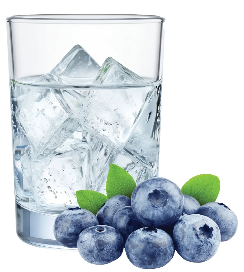 Blueberry Hard Seltzer Recipe Kit