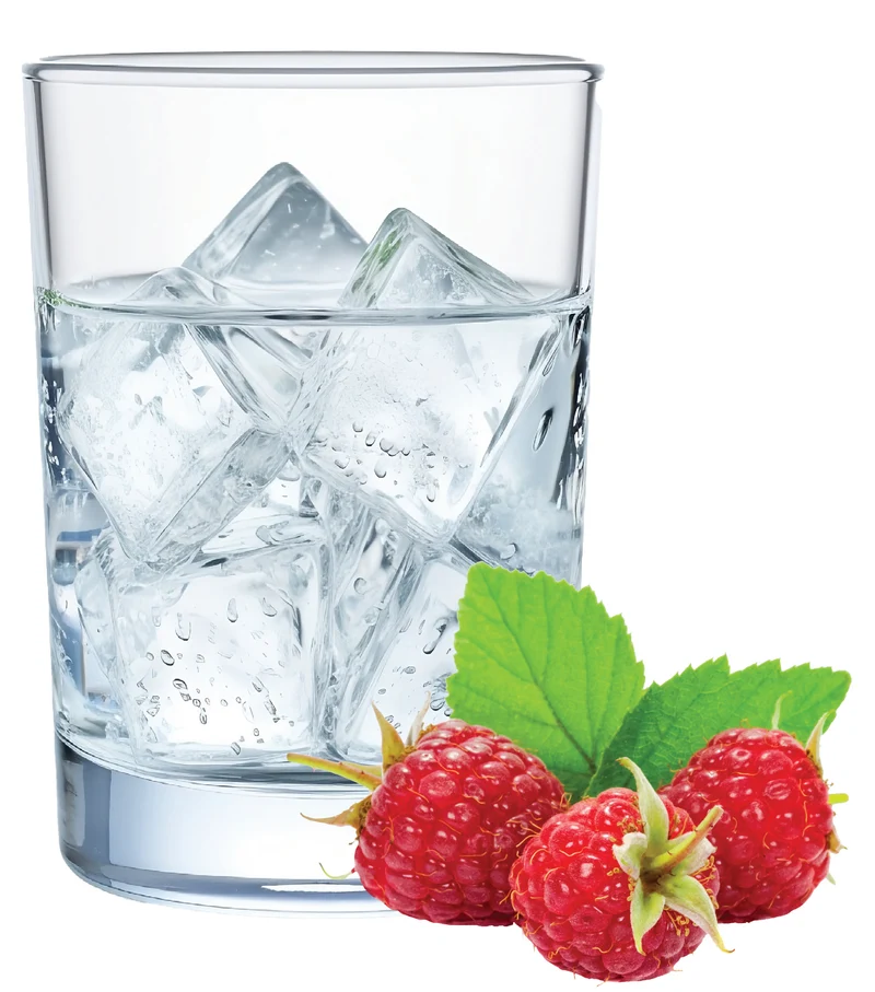 Raspberry Hard Seltzer Recipe Kit