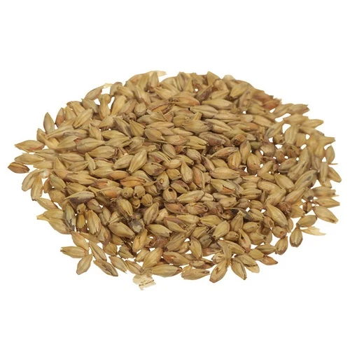 Aromatic Munich Malt 20°L | Specialty Brewing Malt