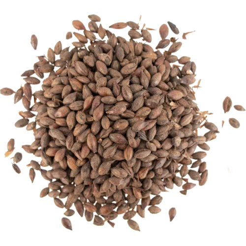 Carafa III De-Husked Malt 525°L | Specialty Brewing Malt