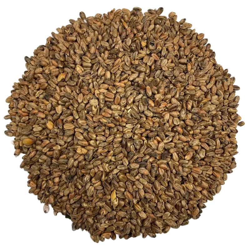 Caramel Wheat (CaraWheat) Malt 45°L | Specialty Brewing Malt