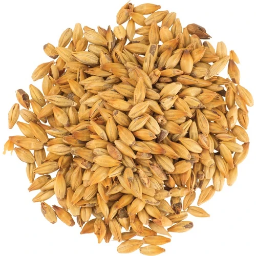 Caramel Munich (CaraMunich) Malt 60°L | Specialty Brewing Malt