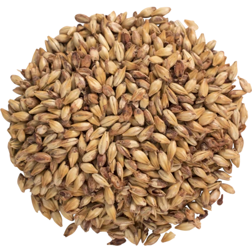 Caramel/Crystal Malt 40°L | Specialty Brewing Malt