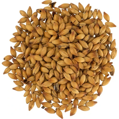 Chateau Special B Malt 140°L | Specialty Brewing Malt