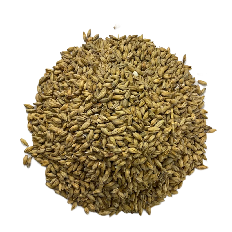 6-Row Distiller's Malt | High-Enzyme Base Brewing Malt