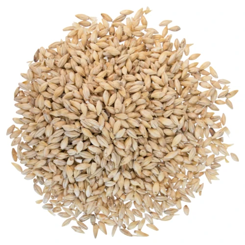 Vienna Malt | Premium Base Brewing Malt