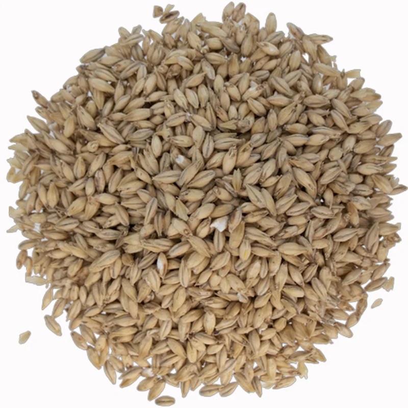 Pilsen (Pilsner) Malt | Premium Base Brewing Malt