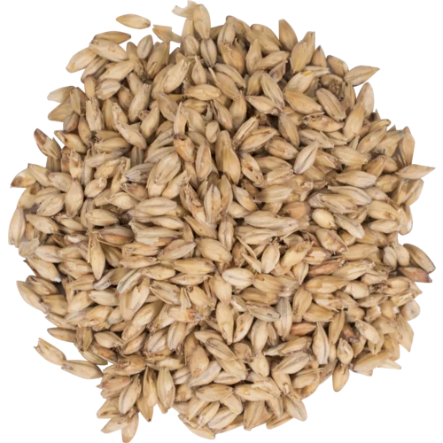 Northwest Pale Ale Malt 3.5°L | Premium Base Brewing Malt