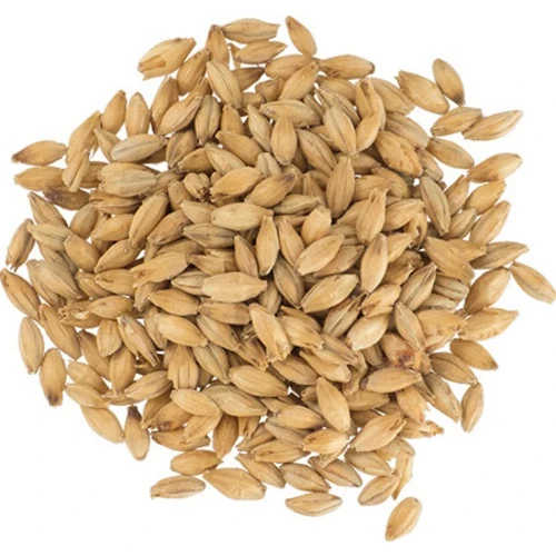 Maris Otter Malt | Premium British Base Malt