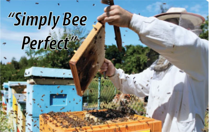 Treasure Valley Honey 3LBS