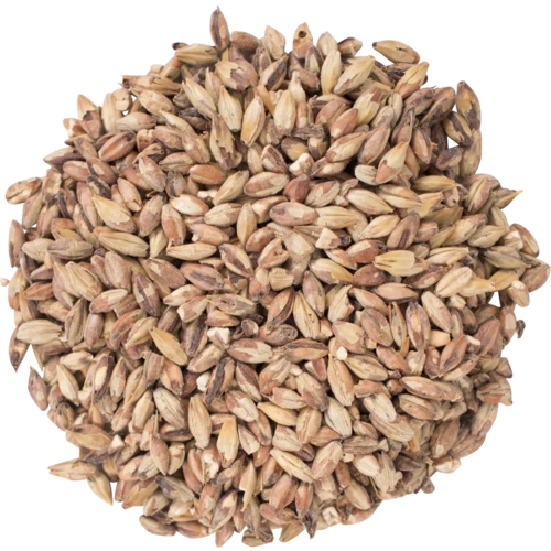 Special Roast Barley 50°L | Specialty Brewing Malt