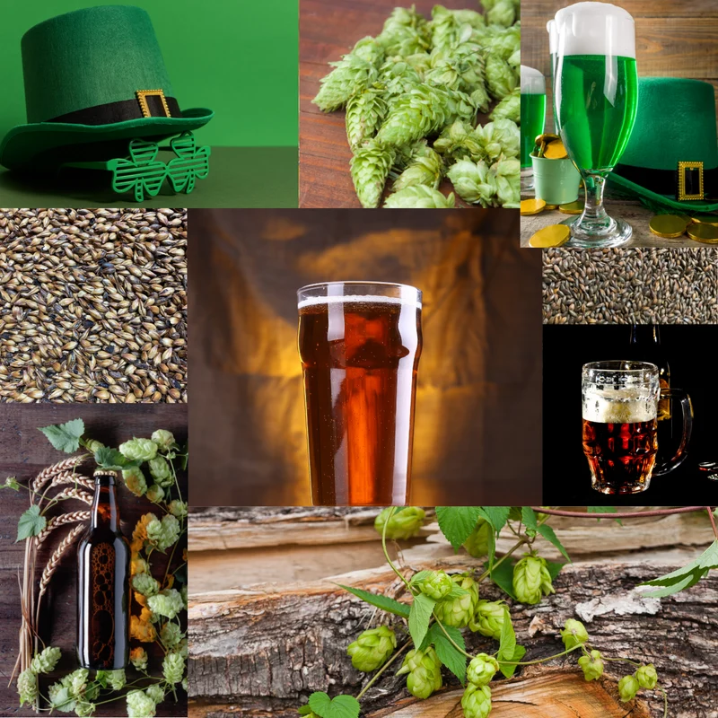 1 Gallon Nano-brew | Lucky Leprechaun Irish Red Ale [Partial Mash] Recipe Kit