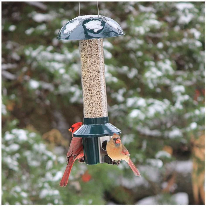 PestOff Birdfeeder by Roamwild