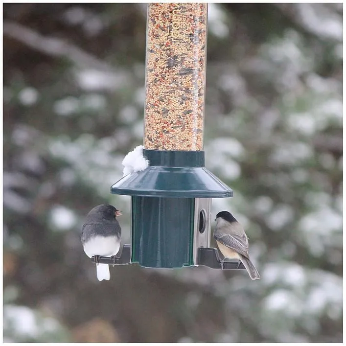 PestOff Birdfeeder by Roamwild